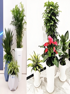 杭州湾绿化养护方案